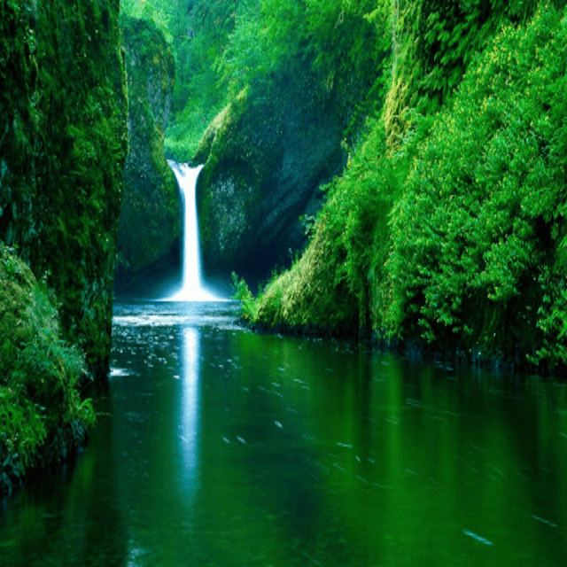 Nature Sounds